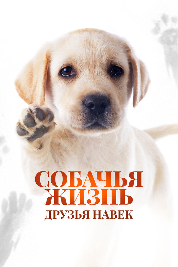 Собачья жизнь: Друзья навек (2023) - смотреть онлайн